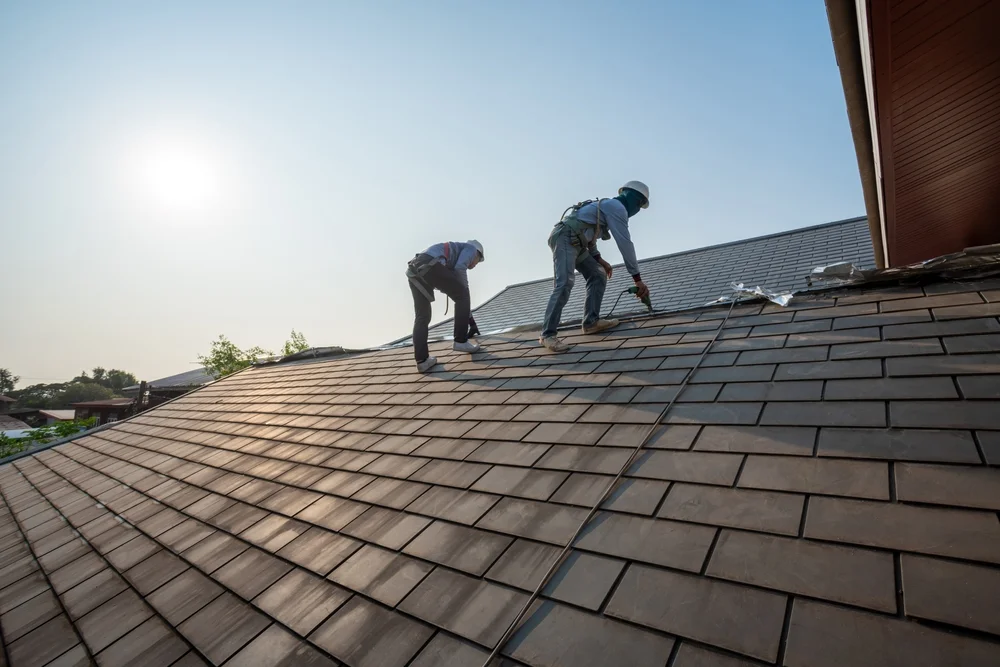 Property Maintenance Expertt - roofing and gutter maintenance